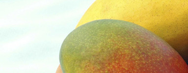 Mango in njegove prednosti pri uživanju. 2.del